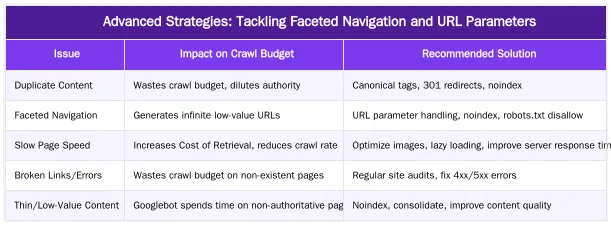Advanced Strategies: Tackling Faceted Navigation and URL Parameters — Crawl Budget Optimization Strategies for Large Medical Practices